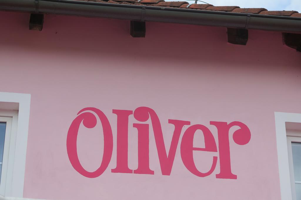Penzion Oliver Horní Planá Kültér fotó